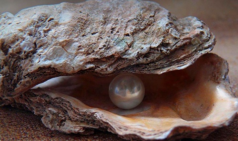 Fine et délicate, découvrez l’origine de la perle et ses bienfaits en lithothérapie.